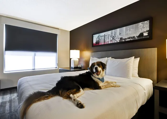 Hyatt Place Ocean Oceanfront 3*